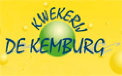 Kwekerij de Kemburg genista